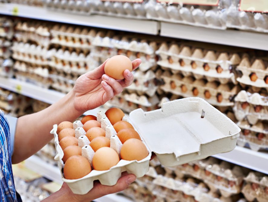 Understanding Egg Carton Dates