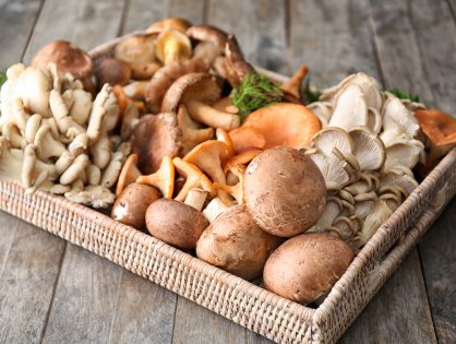 How to Grow Your Own Mushrooms: What Is Needed and Which Varieties Are the Easiest to Grow