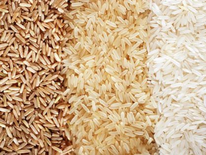 Rice 101: Discover the Best Types of Rice for Every Dish